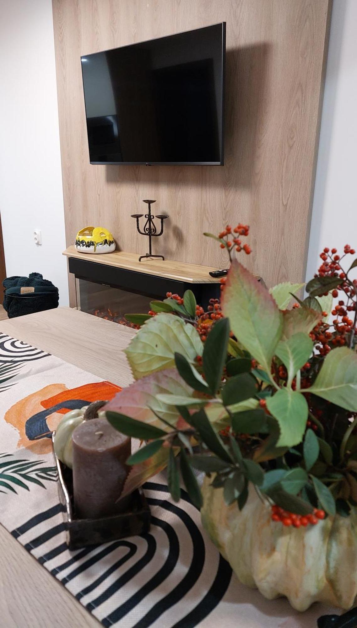Iv With A Private Garage Apartment